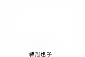 舞台失准三秒的现场机位画面